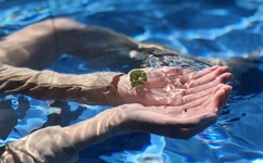 沈青鸾风璃宸神医弃妃